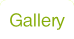 Gallery.